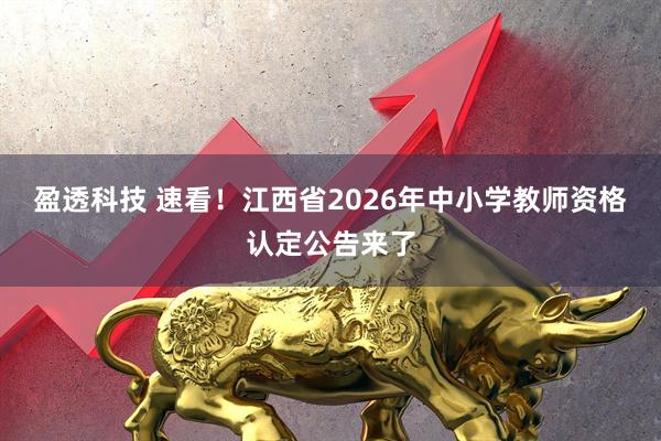 盈透科技 速看！江西省2026年中小学教师资格认定公告来了
